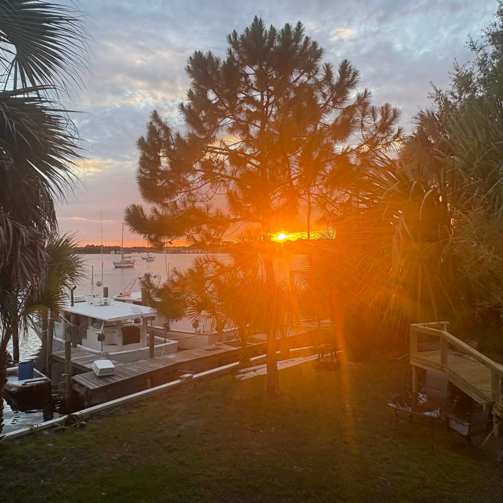 The yard at Sunset Wine and Tapas at golden hour — palms and pines above the lawn, a shrimp boat at the dock, and the sun setting over the Carrabelle River.